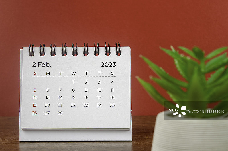 日历桌2023:2月是组织者计划和截止日期的月份，以红纸为背景的室内植物。图片素材