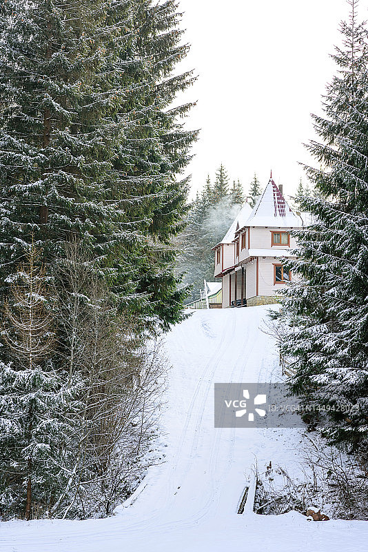 木屋坐落在山坡上美丽的冬季绿色针叶林里图片素材