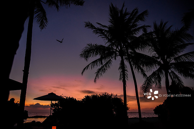 浪漫多彩的日落在海滩棕榈树剪影在热带岛屿在马尔代夫图片素材