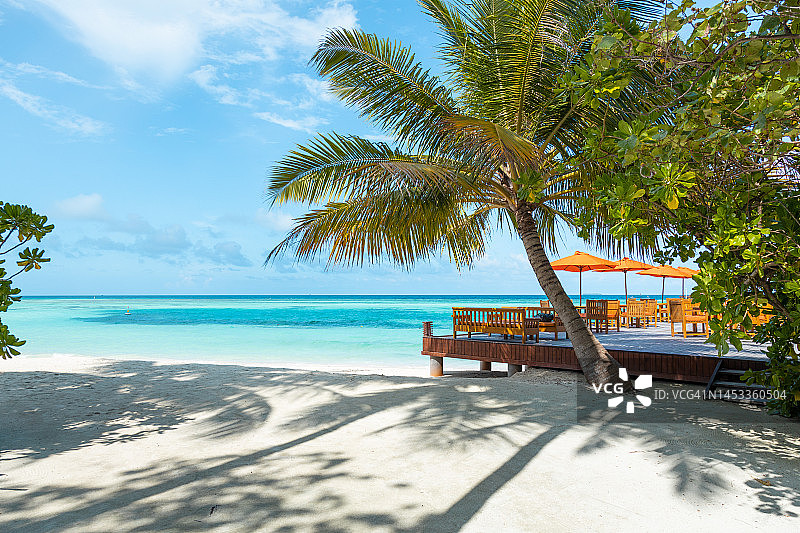 晴朗的日子里，平静的泻湖上有棕榈树的马尔代夫岛海滩图片素材