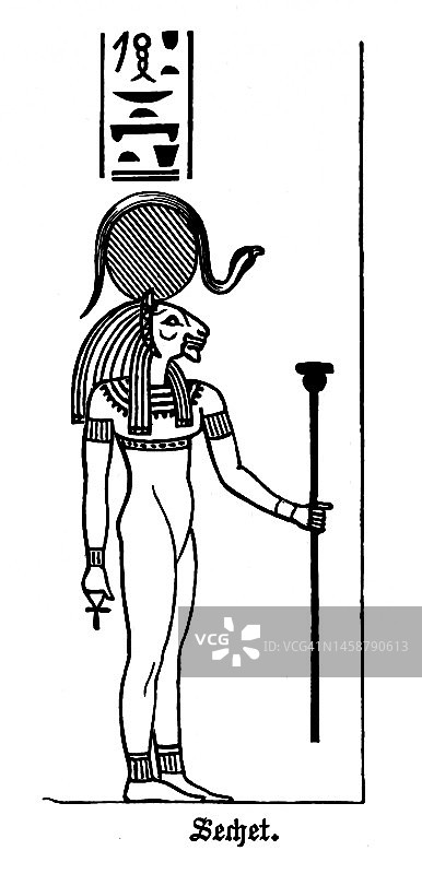 古埃及战士女神的古老雕刻插图，塞克梅特，萨赫米斯，萨赫梅特，塞克特或萨赫特图片素材