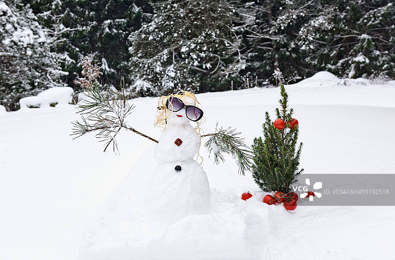 立陶宛，一个戴着墨镜的女雪人站在花园的圣诞树旁图片素材