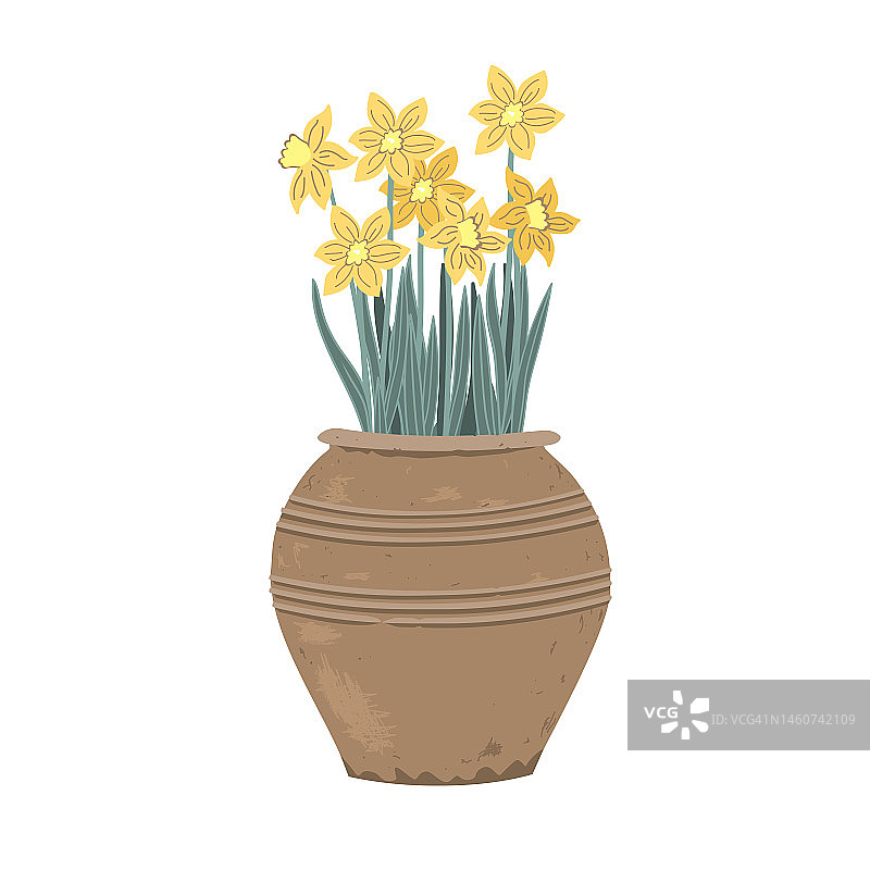 水仙花盆栽。第一个春天的花在一个老式的陶罐。矢量插图孤立在一个白色的背景图片素材