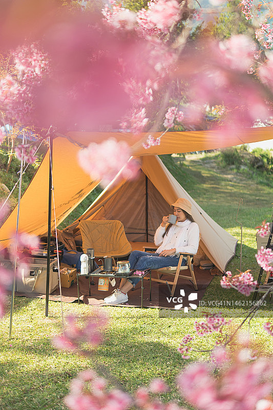樱花树下的露营帐篷。户外周末活动和简单的生活。图片素材