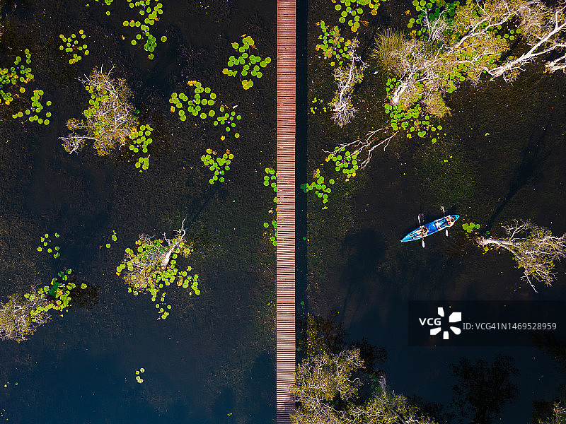 在红树林中划着皮划艇的游客鸟瞰图图片素材