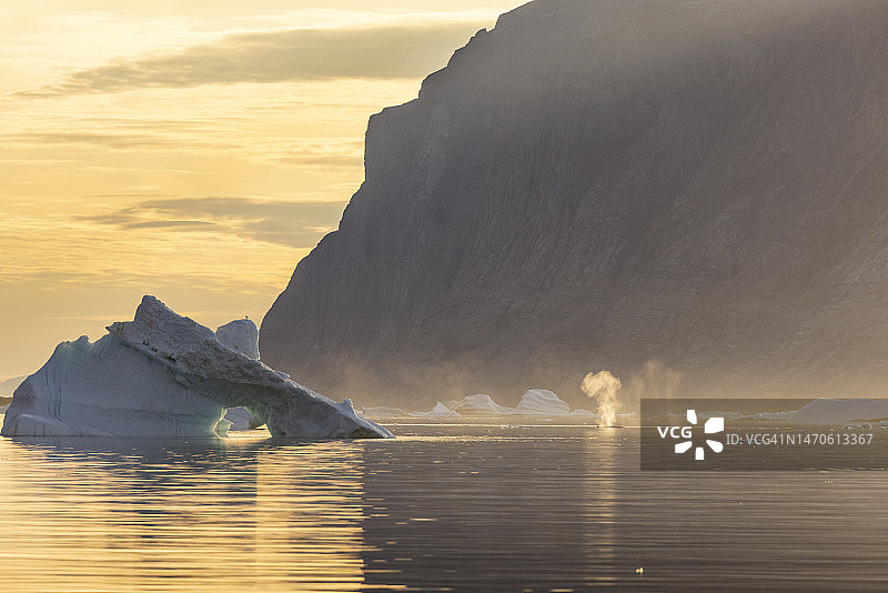 喷水长须鲸和冰山，乌曼纳克，格陵兰岛图片素材