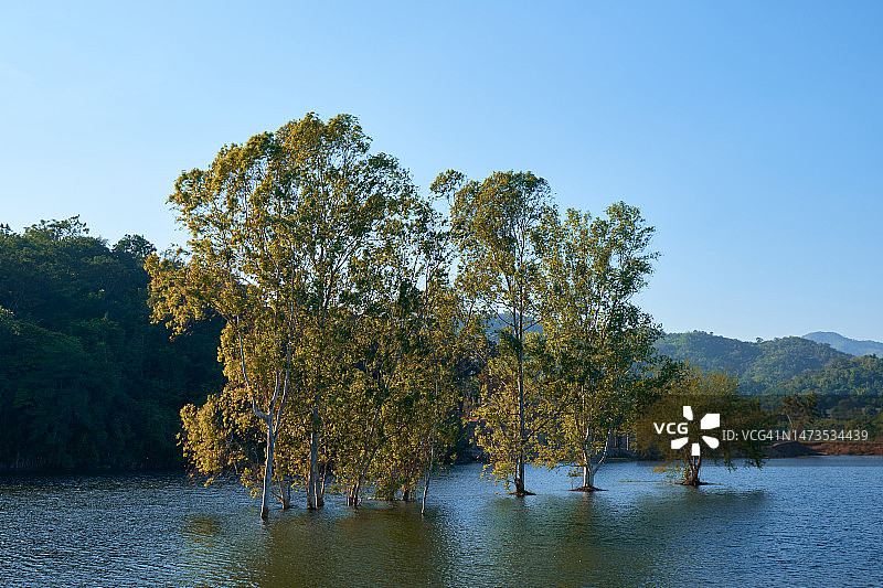 白天，泰国拉差武里省一个美丽湖泊上的树木图片素材
