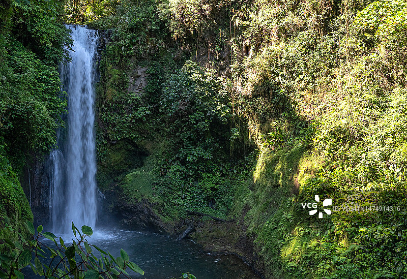 哥斯达黎加中部云雾森林中美丽的瀑布，靠近中美洲的圣何塞和波阿斯火山图片素材