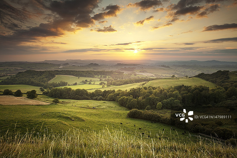 多塞特郡，英格兰乡村绿色山丘上的日落图片素材