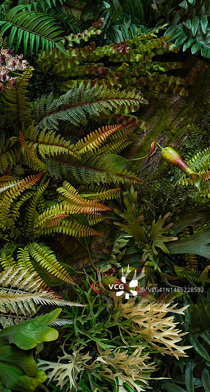 一组深绿色的热带树叶背景图片素材