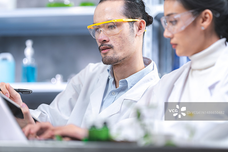 制药厂女工穿着防护服在无菌环境下操作生产线，科学家戴着眼镜和手套在大麻农场检查大麻植物图片素材