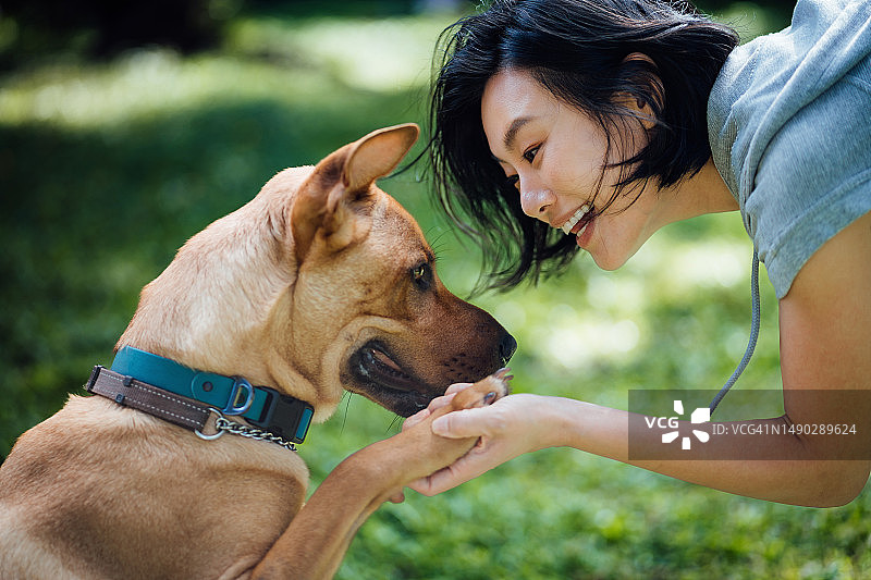 一个阳光明媚的日子里，一个微笑的年轻亚洲女人在公园里拿着狗爪。有宠物的生活。人与狗的友谊。人和宠物的关系图片素材