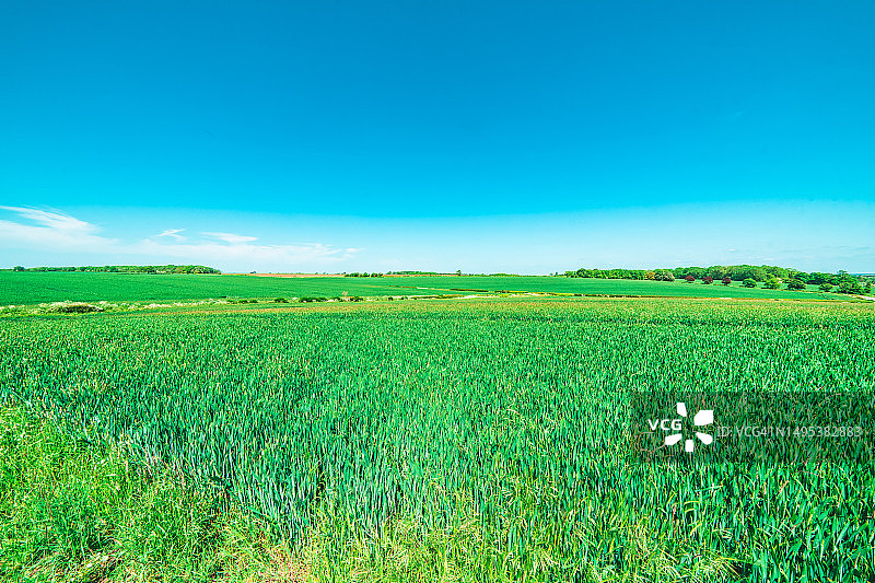 英格兰美丽的农田和湛蓝的天空图片素材