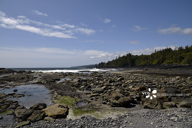 不列颠哥伦比亚省的植物海滩图片素材
