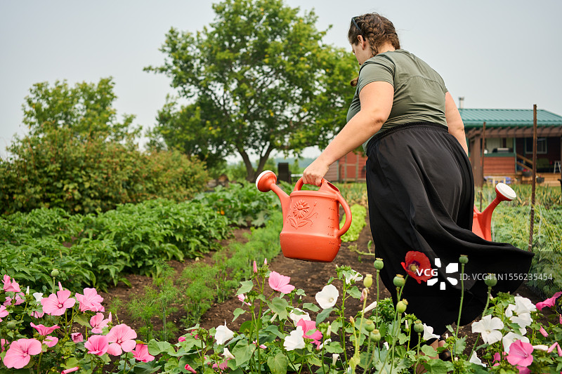一名妇女在农场用水壶给菜园浇水图片素材