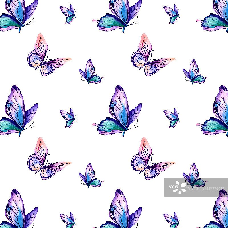 大闪蝶的图案。水彩插图在一个孤立的背景。五彩斑斓的翅膀，紫色的，粉色的，橙色的。动物,野生动物。图片素材