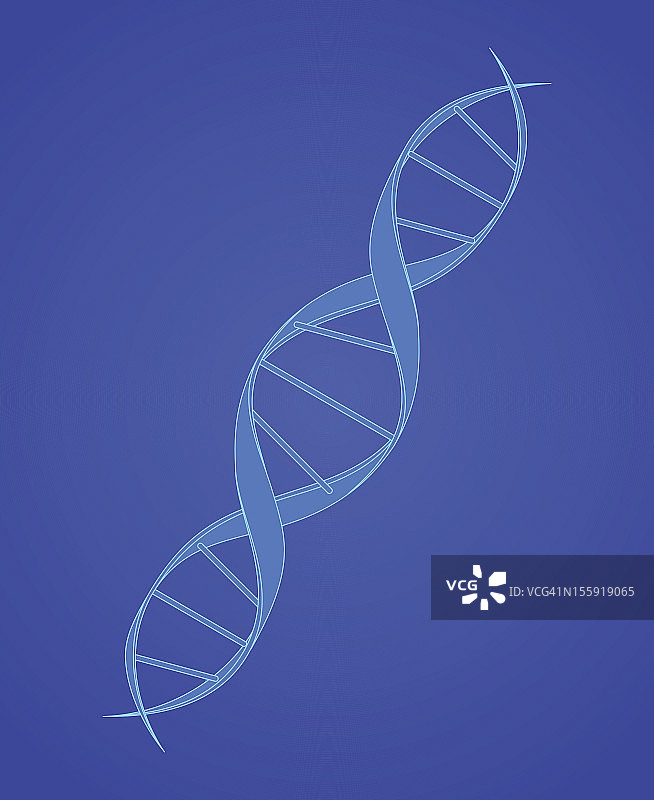 蓝色的DNA螺旋图片素材