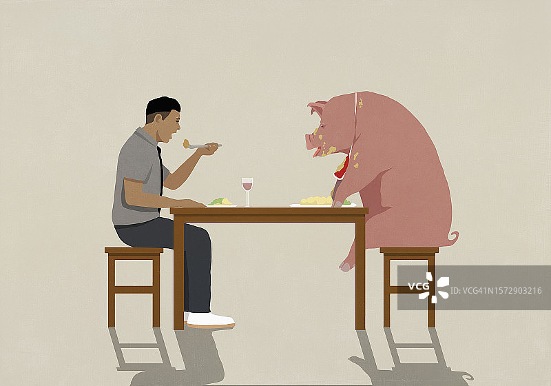 男人在餐桌上和邋遢的猪一起吃饭图片素材