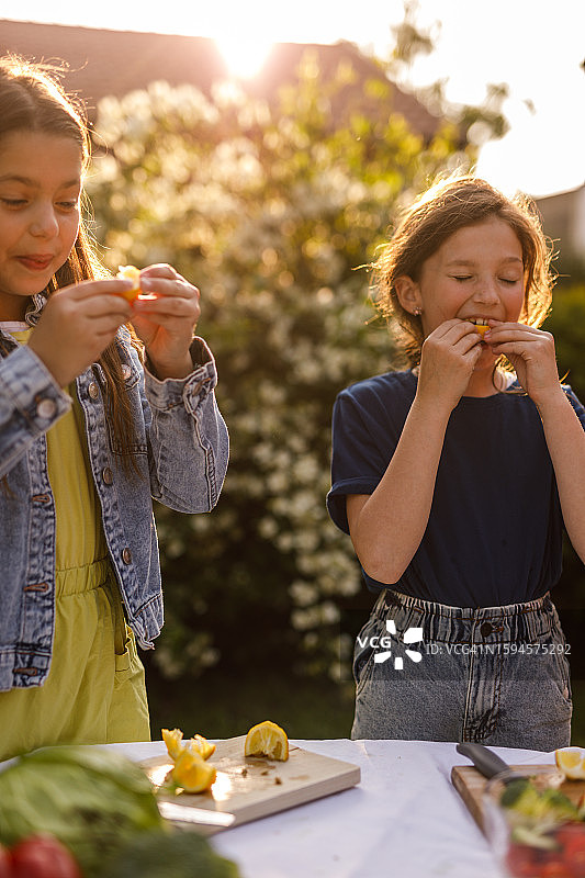两个快乐的小女孩在阳光明媚的花园里吃着柠檬角图片素材