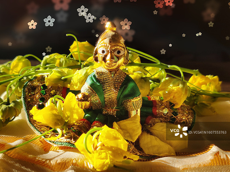 小克里希纳/Bal Gopal/主克里希纳装饰着桂枝瘘/金色的花-克里希纳Janmashtami/阿斯塔米罗希尼图片素材