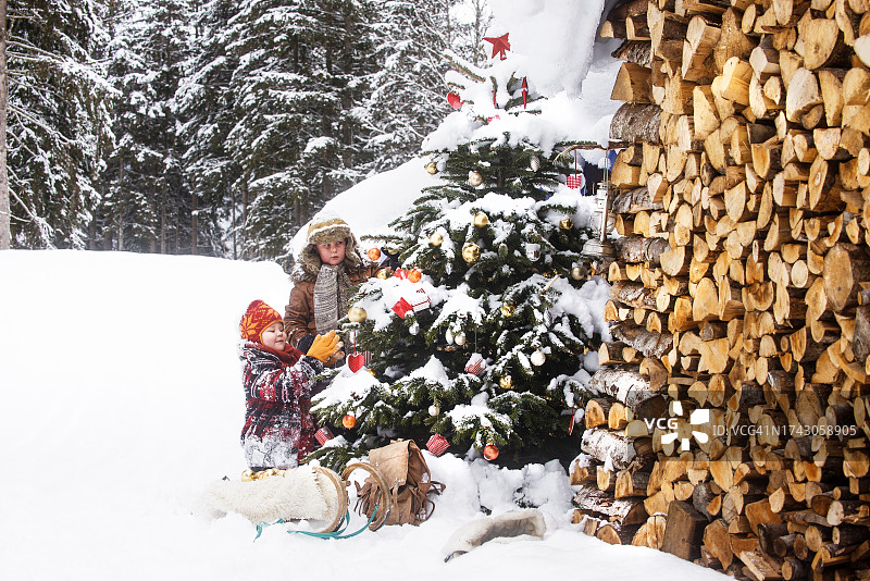 姐姐和哥哥在柴火旁装饰圣诞树图片素材