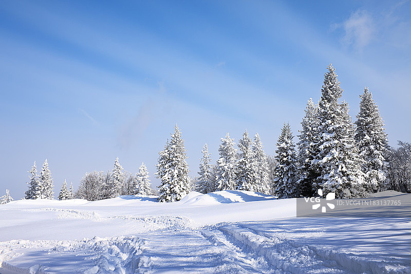 冬天的风景图片素材