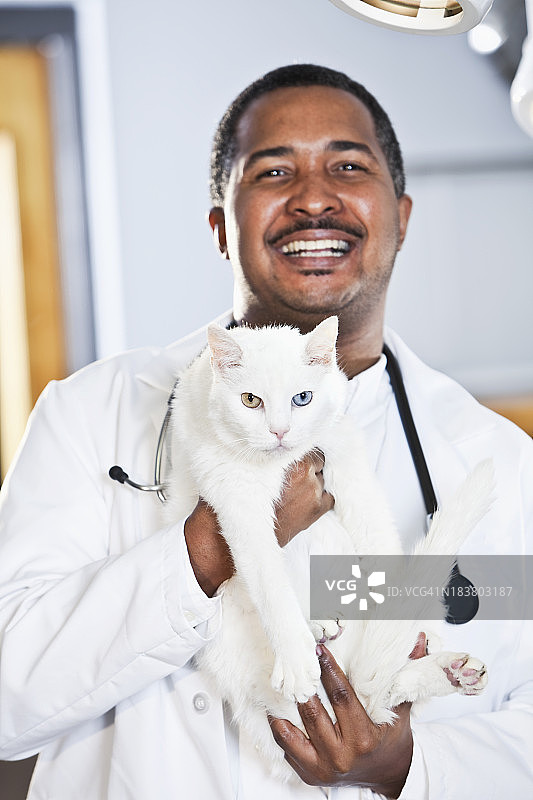 非裔美国兽医抱着猫病人图片素材
