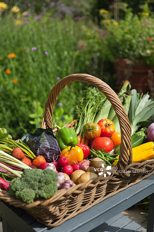 新鲜的夏季季节蔬菜收获柳条篮图片素材