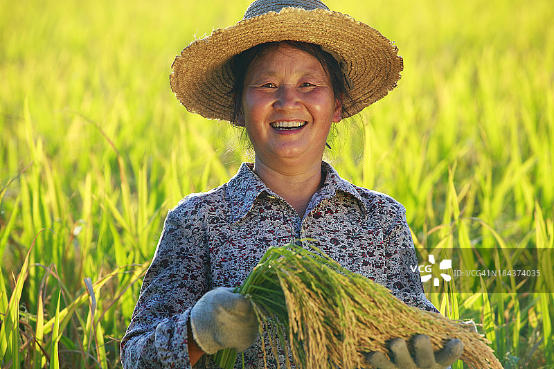 快乐的农民手里拿着稻子图片素材