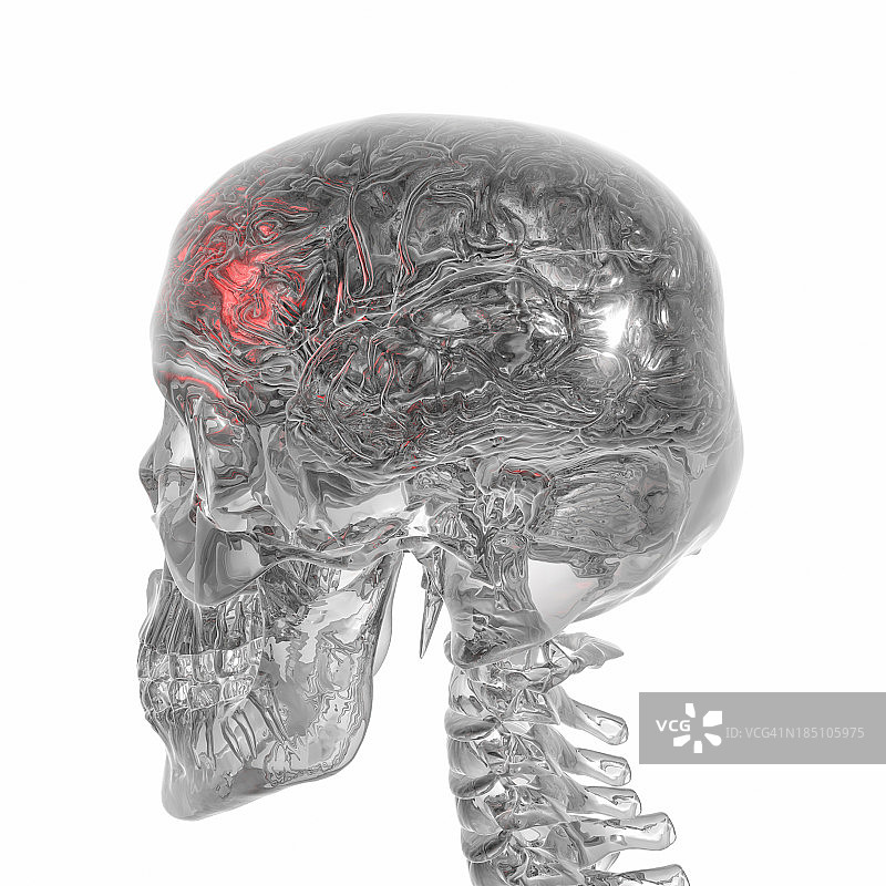 人类大脑和骨骼玻璃风格图片素材