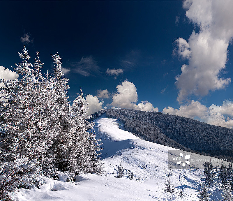 山上的树木覆盖着白霜和白雪图片素材