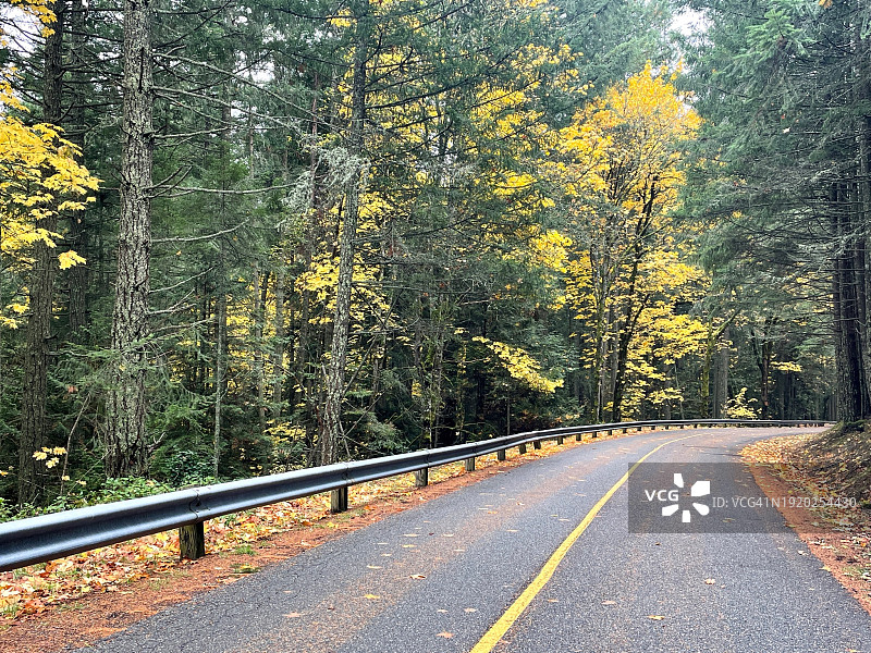 加拿大不列颠哥伦比亚省，一条穿过秋天森林的道路图片素材