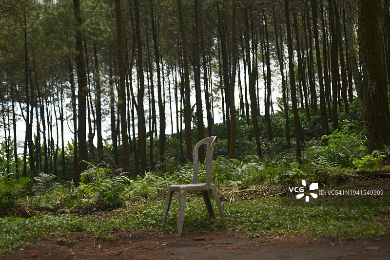 森林中央的一个空座位图片素材