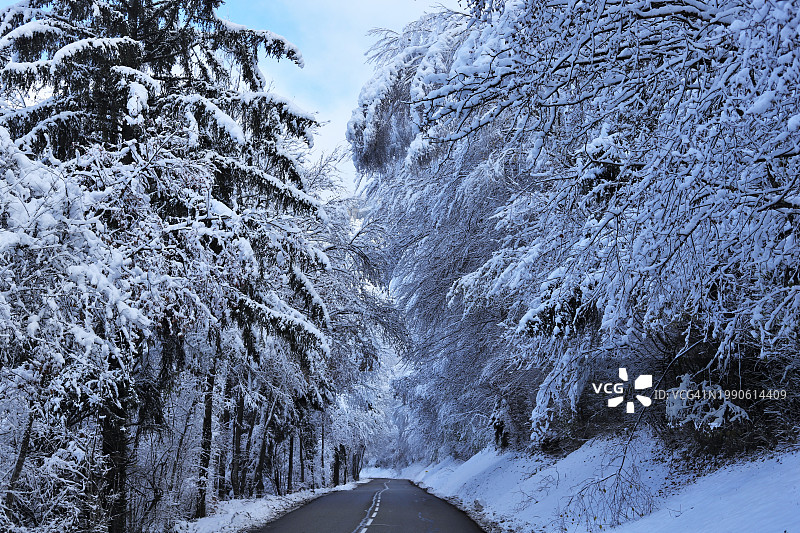 冬天的法国，森林中空旷的道路图片素材