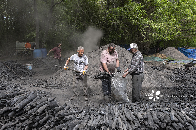 土耳其伊斯坦布尔省土坑窑木炭生产图片素材