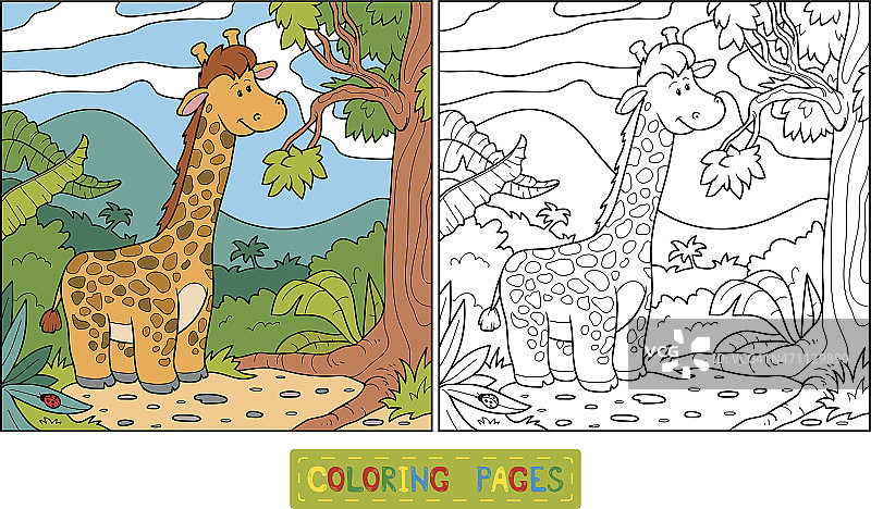 彩色书(长颈鹿)图片素材