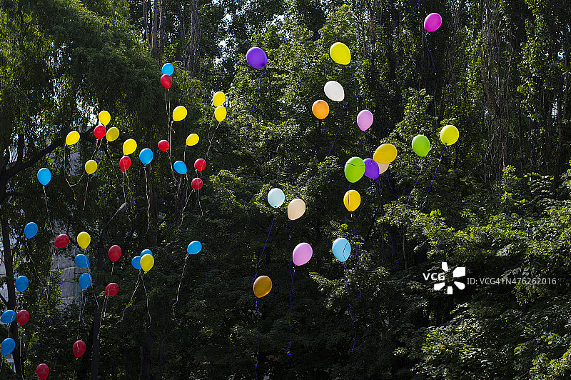 气球映在天空的树上，最后一次叫学校图片素材