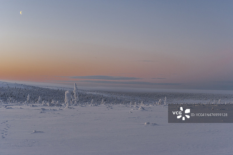 芬兰的拉普兰(北极圈以北155英里)。冬天的早晨图片素材