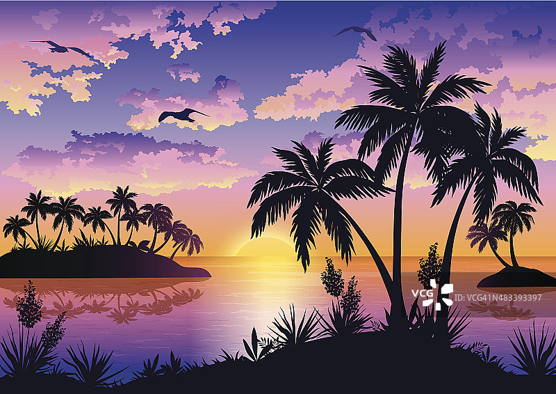 热带岛屿，棕榈树，天空和鸟类图片素材