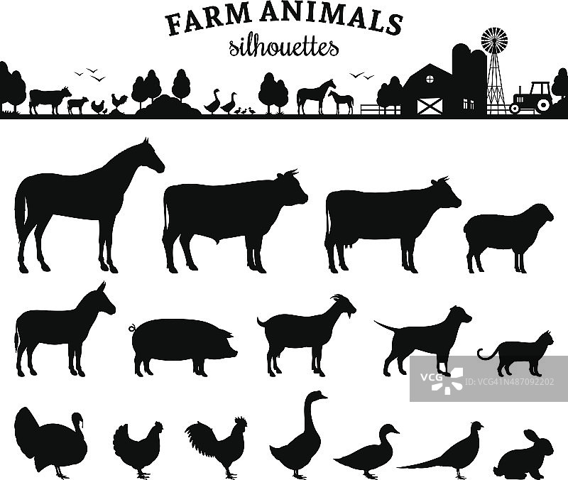 矢量农场动物轮廓孤立在白色图片素材