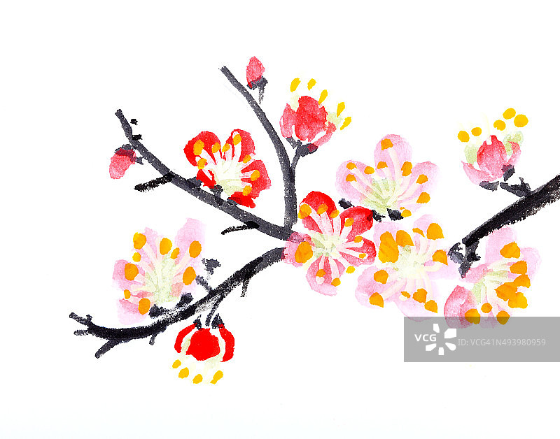 中国画的花，梅花图片素材