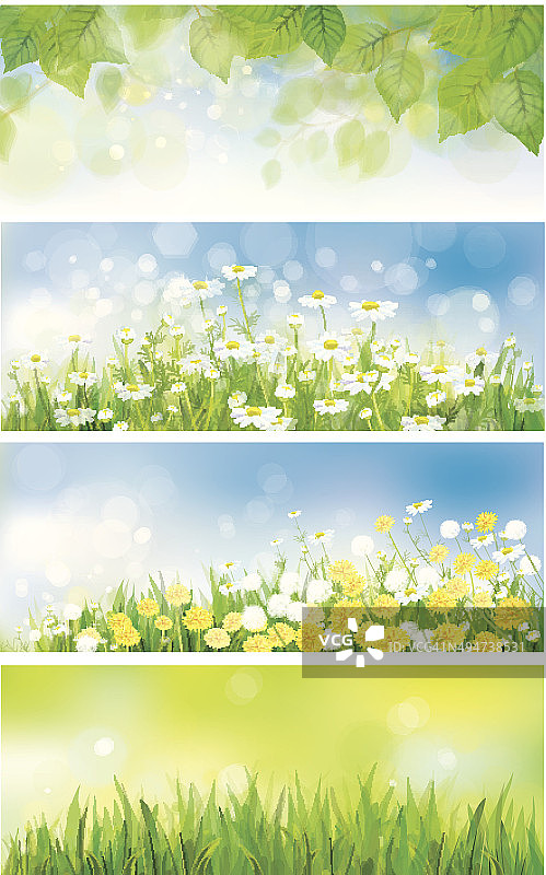 向量春天自然横幅，桦树叶，蒲公英和洋甘菊。图片素材