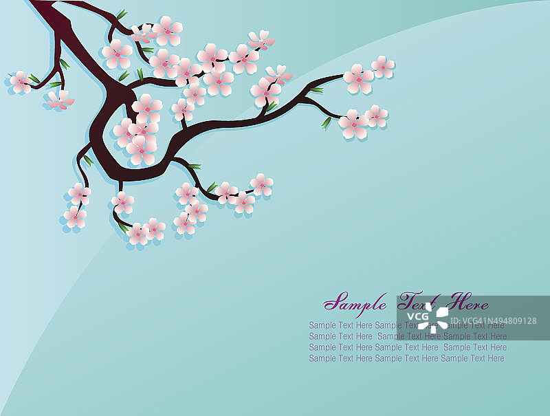 樱花粉色花在蓝色背景矢量文字设计图片素材