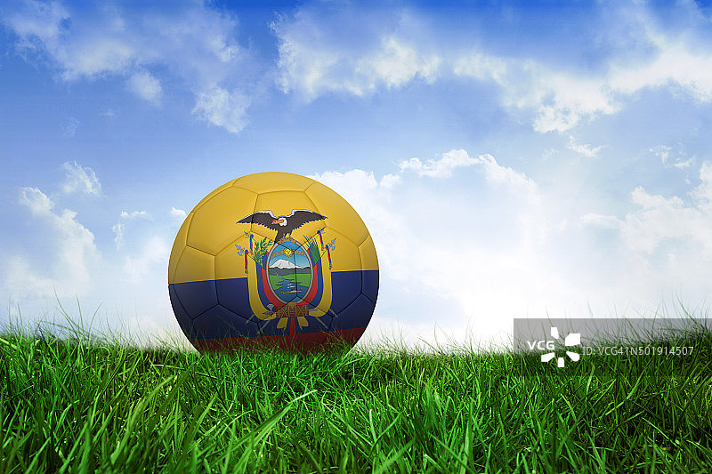 厄瓜多尔足球颜色图片素材