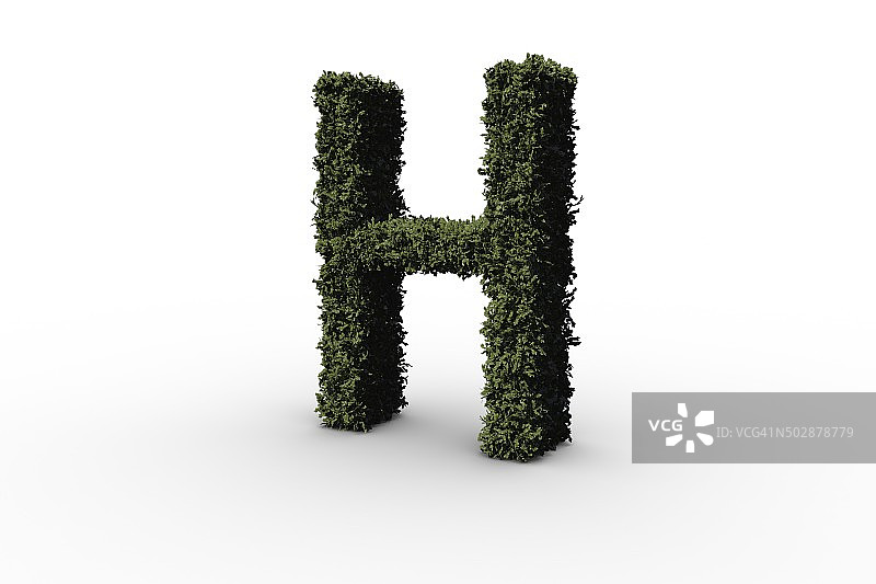 字母h由树叶制成图片素材