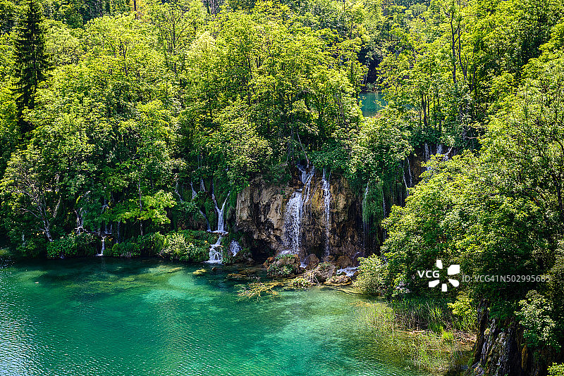克罗地亚Plitvice湖上的树木图片素材