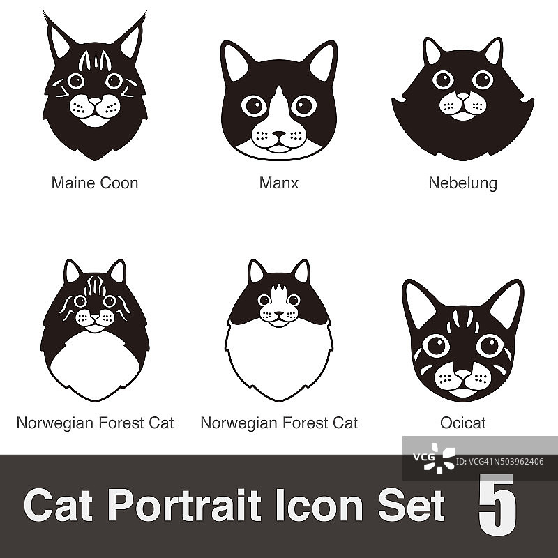 猫品种脸卡通平面图标系列图片素材