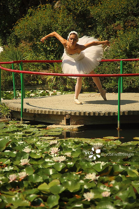 芭蕾舞演员在百合花的池塘上跳舞图片素材