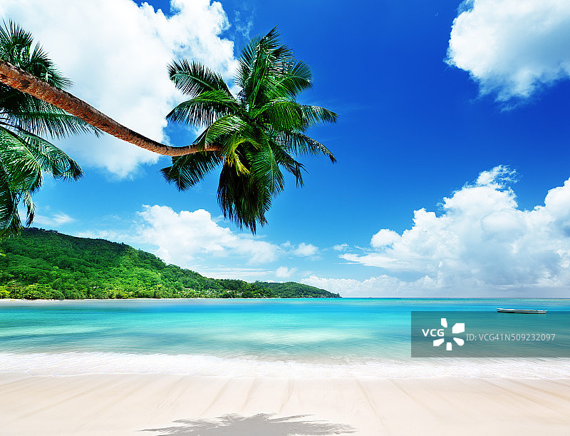 塞舌尔马埃岛的海滩图片素材