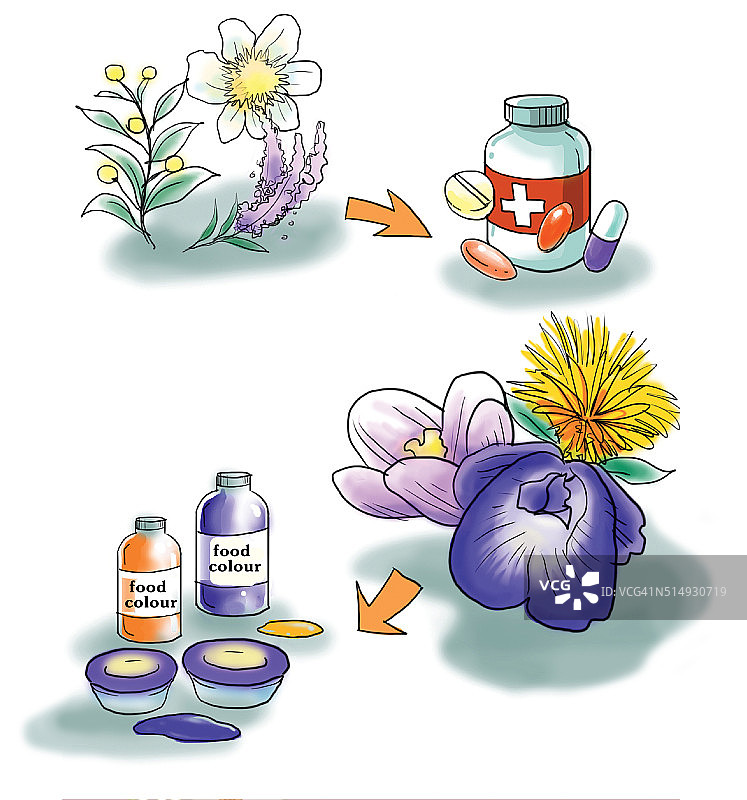 花产品的医疗和食品颜色图片素材